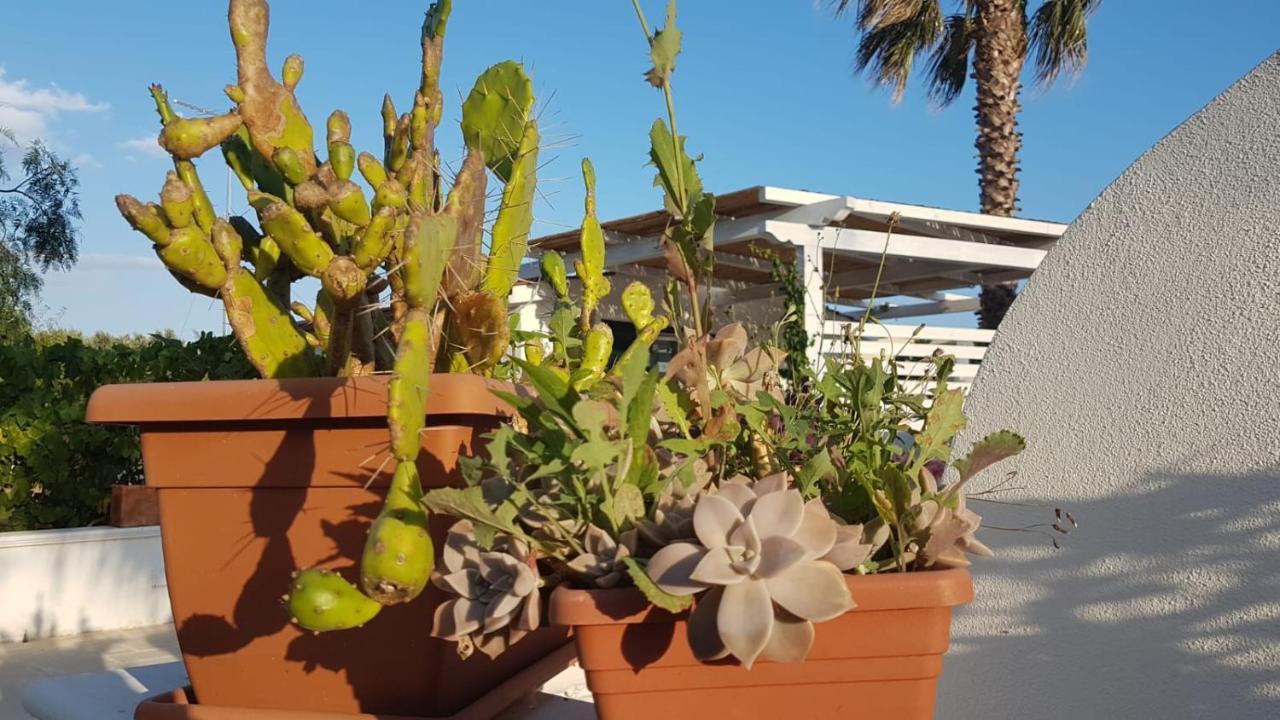 L'Angolodelsole Torre Ovo Dış mekan fotoğraf
